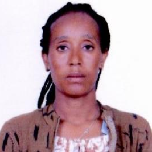 1766298137758177PHOTO - DRIBE ESHETU GEBISA